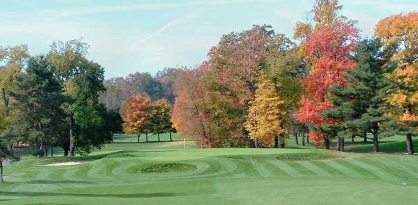 Ron Shea Golf Lessons in Akron, Ohio.